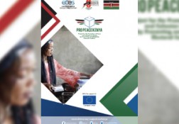 Pro-Peace Kenya - Project Resume