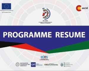 Brochure del programma EU-JDID