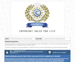 Communication & Visibility Guidelines Copyright