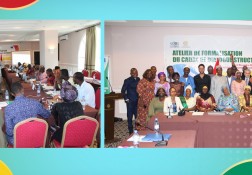 Workshop on the formalization of the Framework for Structured Dialogue (CDS)