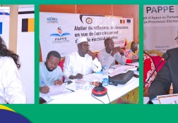 Atelier de renforcement des capacités à l’intention des juges, assistants et greffiers du Conseil constitutionnel