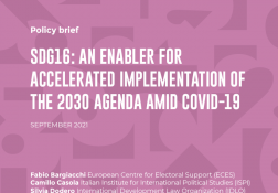 Policy Brief - Implementation of the 2030 Agenda amid COVID-19