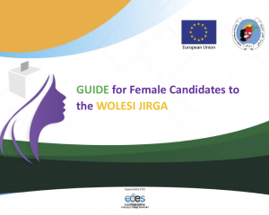 Guide for Female Candidates to the Wolesi Jirga