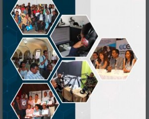 Experience sharing of the PEV Madagascar project